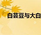 白蕓豆與大白豆的區(qū)別（蕓豆是什么豆）