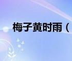 梅子黃時雨（說一說梅子黃時雨的簡介）