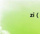 zi（說一說zi的簡(jiǎn)介）