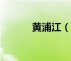 黃浦江（說(shuō)一說(shuō)黃浦江的簡(jiǎn)介）