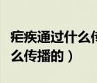 瘧疾通過什么傳播的（瘧疾主要是什么通過什么傳播的）
