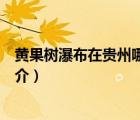 黃果樹瀑布在貴州哪里（說一說黃果樹瀑布在貴州哪里的簡介）