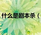 什么是劇本殺（說一說什么是劇本殺的簡(jiǎn)介）
