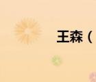 王森（說一說王森的簡介）