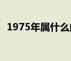 1975年屬什么的（1975年屬什么的 多大）
