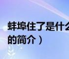 蚌埠住了是什么梗（說一說蚌埠住了是什么梗的簡介）