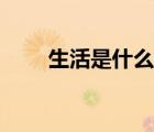 生活是什么仿寫句子（生活是什么）