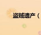盜賊遺產(chǎn)（說(shuō)一說(shuō)盜賊遺產(chǎn)的簡(jiǎn)介）