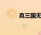 真三國(guó)無(wú)雙19（真三國(guó)無(wú)雙1）