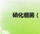 硝化細菌（說一說硝化細菌的簡介）
