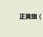正黃旗（說一說正黃旗的簡介）