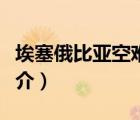 埃塞俄比亞空難（說一說埃塞俄比亞空難的簡介）