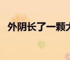 外陰長了一顆大痘痘很痛（外陰癤腫癥狀）