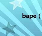 bape（說一說bape的簡介）