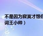 不是因?yàn)榧拍畔肽慵V王小帥（不是因?yàn)榧拍畔肽愀柙~王小帥）