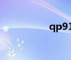 qp919官網(wǎng)（qh1 91）