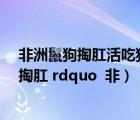 非洲鬣狗掏肛活吃獵物視頻集錦（鬣狗為什么喜歡 ldquo 掏肛 rdquo  非）