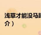 淺草才能沒(méi)馬蹄（說(shuō)一說(shuō)淺草才能沒(méi)馬蹄的簡(jiǎn)介）