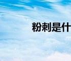 粉刺是什么東西（粉刺是什么）