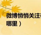 微博悄悄關(guān)注在哪里2022（微博悄悄關(guān)注在哪里）