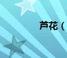 蘆花（說一說蘆花的簡介）