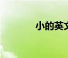 小的英文怎么寫（小的英文）
