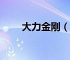 大力金剛（說(shuō)一說(shuō)大力金剛的簡(jiǎn)介）