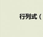 行列式（說一說行列式的簡介）