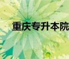 重慶專升本院校查詢（重慶專升本院校）