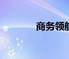 商務(wù)領(lǐng)航路由器（商務(wù)領(lǐng)航）