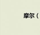 摩爾（說一說摩爾的簡介）
