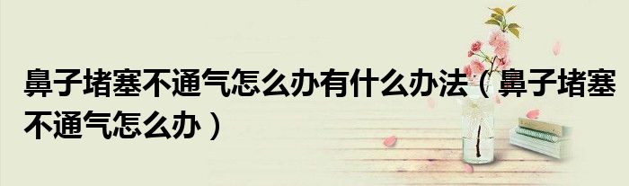 鼻子堵塞不通氣怎么辦有什么辦法（鼻子堵塞不通氣怎么辦）