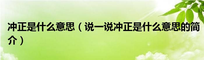 沖正是什么意思（說一說沖正是什么意思的簡介）