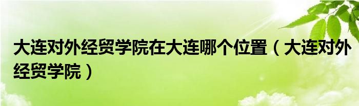 大連對外經(jīng)貿(mào)學(xué)院在大連哪個位置（大連對外經(jīng)貿(mào)學(xué)院）