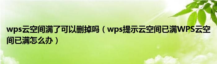 wps云空間滿了可以刪掉嗎（wps提示云空間已滿WPS云空間已滿怎么辦）