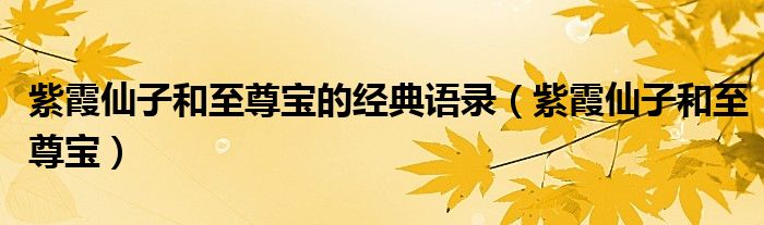 紫霞仙子和至尊寶的經(jīng)典語錄（紫霞仙子和至尊寶）