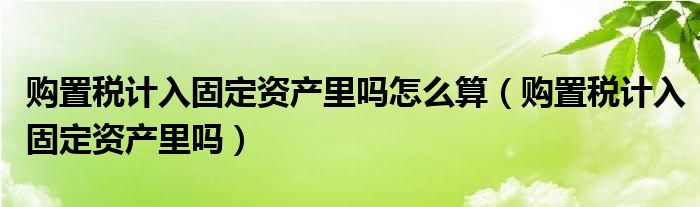 購置稅計入固定資產(chǎn)里嗎怎么算（購置稅計入固定資產(chǎn)里嗎）