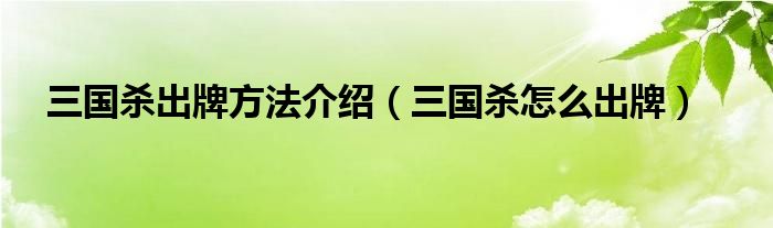 三國殺出牌方法介紹（三國殺怎么出牌）