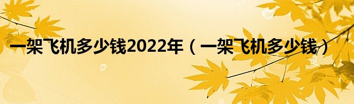 一架飛機多少錢2022年（一架飛機多少錢）