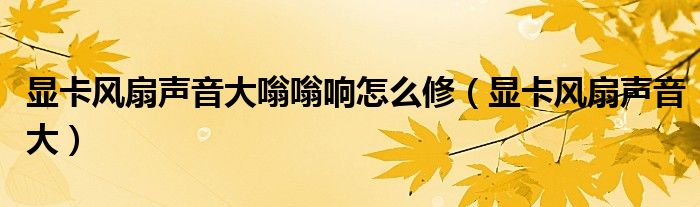 顯卡風扇聲音大嗡嗡響怎么修（顯卡風扇聲音大）