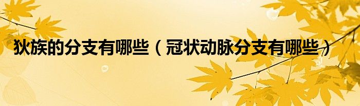 狄族的分支有哪些（冠狀動(dòng)脈分支有哪些）