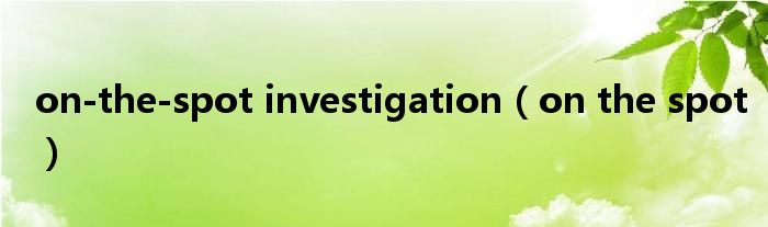 on-the-spot investigation（on the spot）