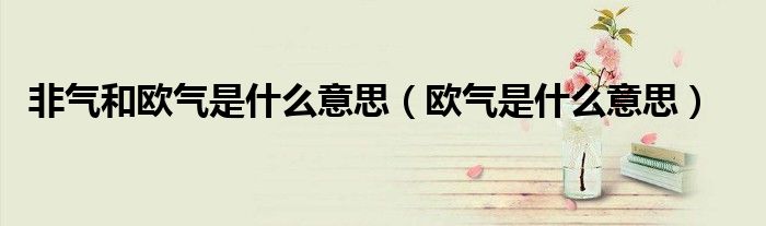 非氣和歐氣是什么意思（歐氣是什么意思）