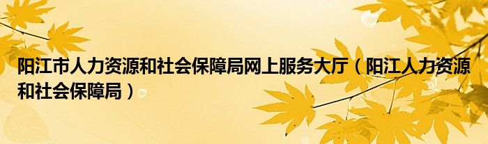 陽江市人力資源和社會保障局網(wǎng)上服務大廳（陽江人力資源和社會保障局）