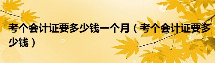 考個(gè)會(huì)計(jì)證要多少錢一個(gè)月（考個(gè)會(huì)計(jì)證要多少錢）