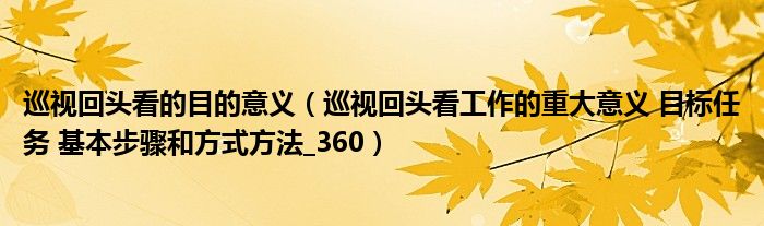 巡視回頭看的目的意義（巡視回頭看工作的重大意義 目標任務 基本步驟和方式方法_360）