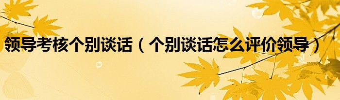 領(lǐng)導(dǎo)考核個別談話（個別談話怎么評價領(lǐng)導(dǎo)）