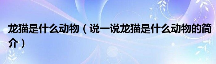 龍貓是什么動物（說一說龍貓是什么動物的簡介）