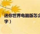 迷你世界電腦版怎么打彩字教程（迷你世界電腦版怎么打彩字）
