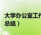 大學辦公室工作總結怎么寫（大學辦公室工作總結）
